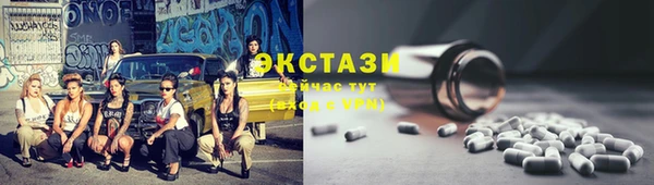 МДПВ Бородино