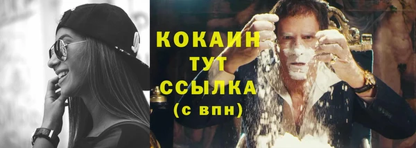 ГАЛЛЮЦИНОГЕННЫЕ ГРИБЫ Бронницы