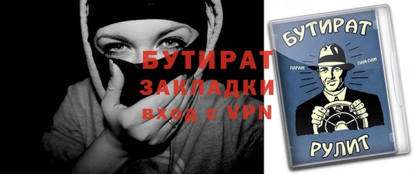 МДПВ Бородино