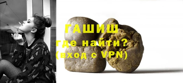 МДПВ Бородино
