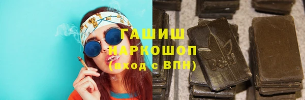 индика Всеволожск