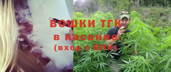 индика Вуктыл