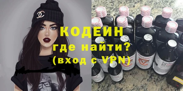МДПВ Бородино