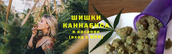 ГАЛЛЮЦИНОГЕННЫЕ ГРИБЫ Бронницы