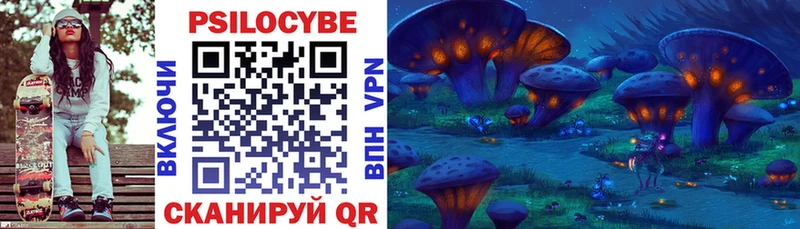 мега онион  Ветлуга  Галлюциногенные грибы Cubensis 